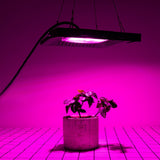 Full Spectrum 30W/50W COB LED Grow Light, Waterproof Phyto Lamp for Indoor Plants, Vegetables, Flowers, AC220V