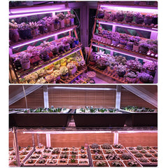 169/81 LED Full Spectrum Grow Light for Indoor Plants, Veg, Flower, Hydroponics - 85-265V