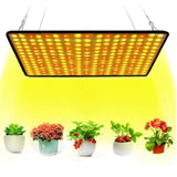 30cmx30cm Spectrum 256 LED Grow Light Lamp for Hydroponics and Flower Growth