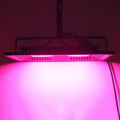 100W Full Spectrum LED Grow Light, AC220V, Waterproof IP65, Indoor/Outdoor Plant Flood Light