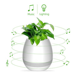 Bluetooth Music Flower Pot with Electrostatic Induction and Night Light