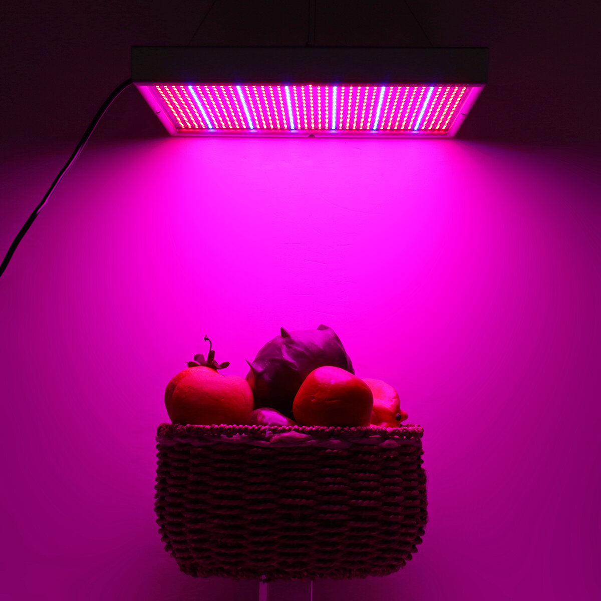 1365 LED Plant Growth Lights - Square Hanging Wire for Greenhouse Vegetables and Indoor Plants