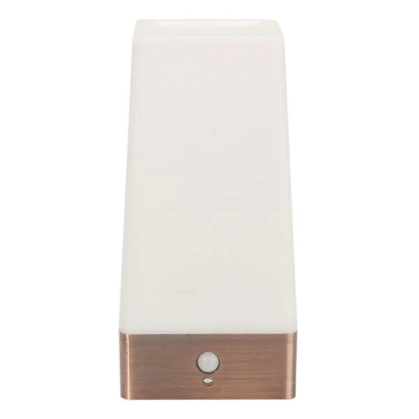 Wireless LED Night Light Table Lamp with Motion Sensor, Battery Operated for Indoor Lighting