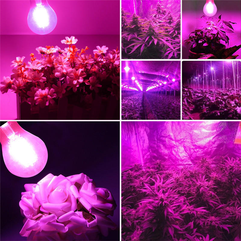 8W A60 E27/B22 COB LED Grow Light Bulb for Hydroponics & Greenhouse, Non-Dimmable, AC85-265V