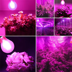 8W A60 E27/B22 COB LED Grow Light Bulb for Hydroponics & Greenhouse, Non-Dimmable, AC85-265V