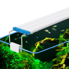 18-48CM LED Fish Tank Lamp with Extendable Brackets - White & Blue LEDs for Aquariums