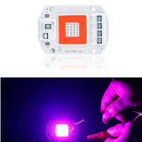 AC110V/220V 20W 30W 50W Full Spectrum Red & Blue LED Grow Light Chip for Indoor Plants & Flowers