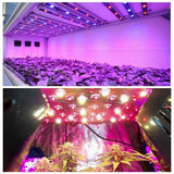 50pcs 3W Full Spectrum LED Plant Grow Light Chips 380nm-840nm for Garden, 3.0-3.4V