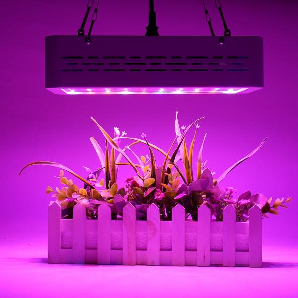 50W Full Spectrum LED Grow Light for Hydroponic Indoor Veg and Bloom Plants