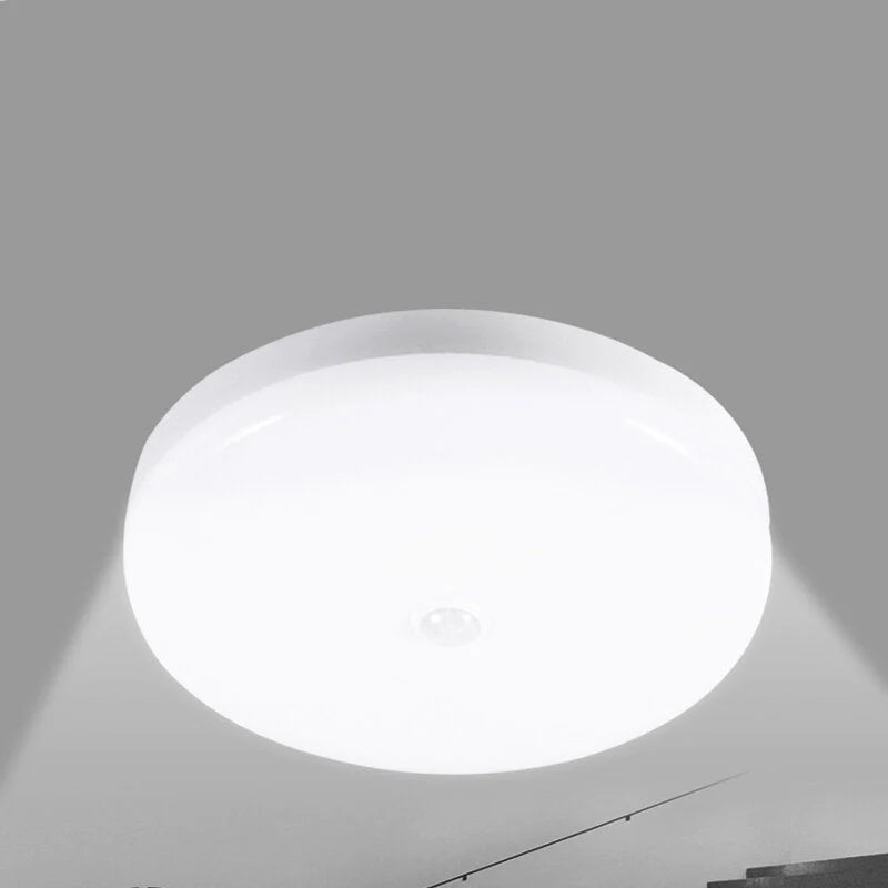 12W/18W Intelligent Motion Sensor LED Ceiling Light, Non-dimmable Home Fixture, AC220V Detective Lamp