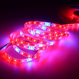 3M SMD5050 Red:Blue 5:1 Full Spectrum LED Grow Light Strip Kit + DC12V Power Adapter for Hydroponic Plants