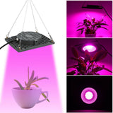 50W Full Spectrum LED Grow Light for Veg, Seed, Greenhouse - Super Cooling, AC110V/220V