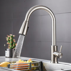 Stainless Steel Pull-Type Ramen Basin Tap - Hot & Cold Water with Two Tubes