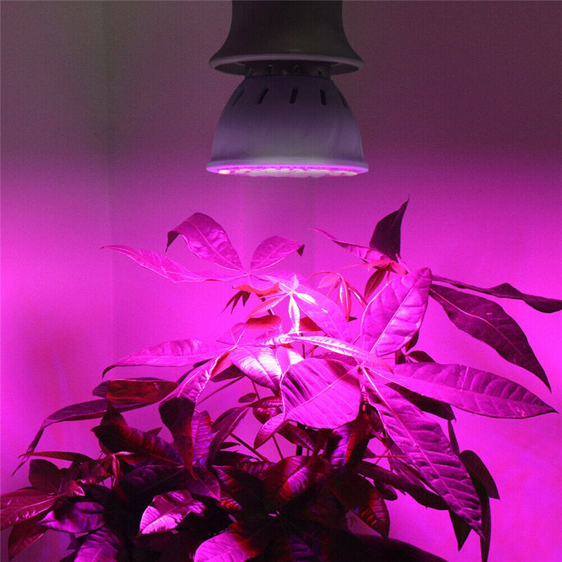 LED Plant Growth Light - 48/60/80 LED Hydroponic Grow Lamp for Indoor Veg, Bloom, Flowers, Seedlings
