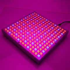 Full Spectrum 30W 225LED Grow Light Lamp for Indoor Seedling, Greenhouse, Flowering Plants AC85-265V