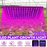 5000W Full Spectrum LED Grow Light for Indoor Hydroponic Plants and Veggies with UV Support