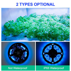 IP65 Waterproof LED Grow Light Strip, 3M, Touch Control, Ice Blue Light for Plant Growth