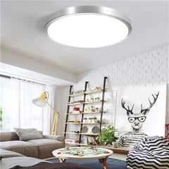 Modern Acrylic LED Ceiling Light, 12W/24W Round Flush Mount Panel for Kitchen, AC110-220V