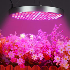 35W UFO LED Grow Light, Full Spectrum for Indoor Plants, Flowers, Seeding, Hydroponic Greenhouse, AC85-265V, 250 LEDs