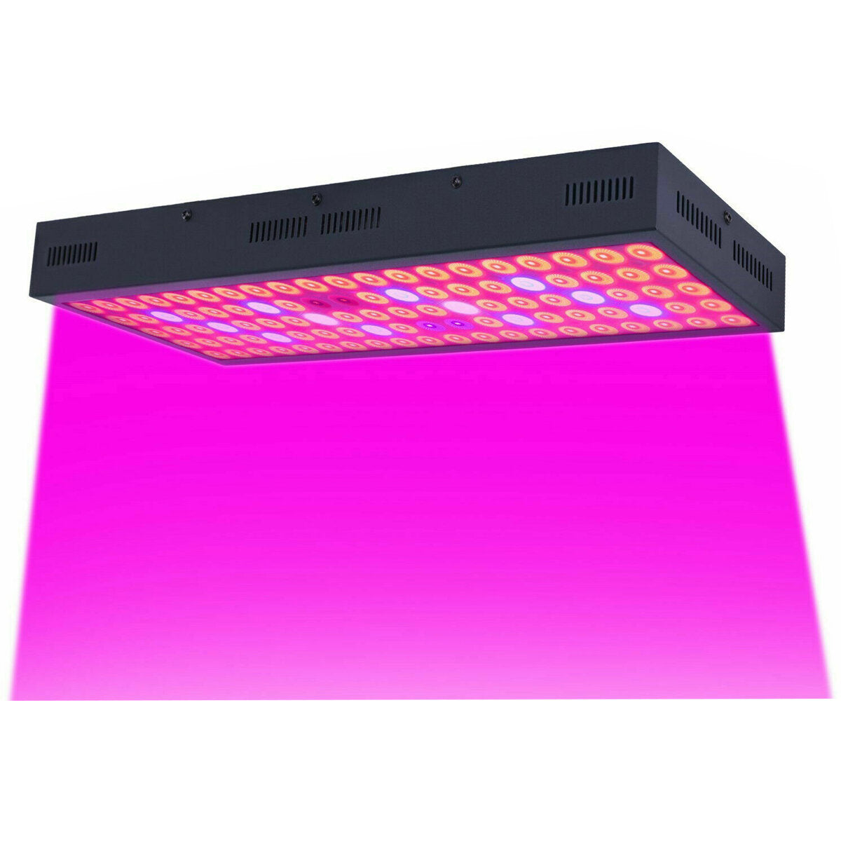 5000W Full Spectrum LED Grow Light Strip for Hydroponic Veg and Flower Plants