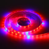 5V 5050 LED Grow Light Strip for Hydroponics, Garden, and Flowers - Full Spectrum