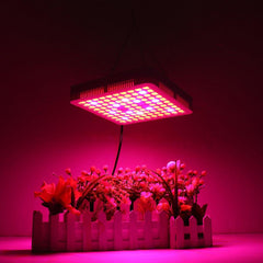 65W Full Spectrum LED Grow Light Panel for Hydroponic Plant Growth