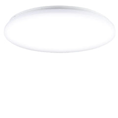 220V Voice Control LED Ceiling Light, 12/18/24W Ultra Thin Flush Mount, Round for Kitchen