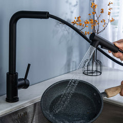 Matte Black Stainless Steel Kitchen Faucet - Single Lever, Pull Out Spring Spout, Hot & Cold Water Mixer Tap