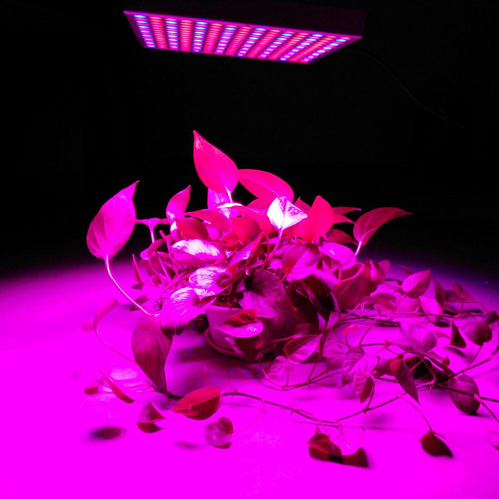 45W/200W Full Spectrum LED Grow Lights with Reflector Cup for Indoor Grow Tent, Box, Greenhouse