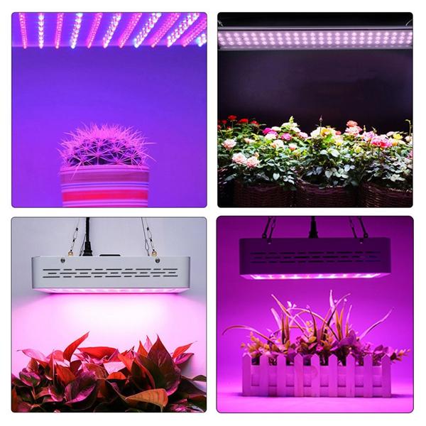 50W Full Spectrum LED Grow Light for Hydroponic Indoor Veg and Bloom Plants