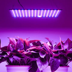 1200W LED Grow Light Bulb for Indoor Hydroponic Plants, Flowers, and Vegetables