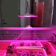 40W LED Full Spectrum Plant Lamp with Clip Switch for Succulents and Flowers - Growth Table Light