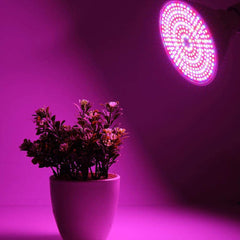 20W LED Grow Light Bulb, 200 LEDs, E27 Base for Indoor Plants, Vegetables, Greenhouse, Hydroponic