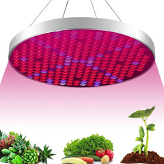 35W UFO LED Grow Light, Full Spectrum for Indoor Plants, Flowers, Seeding, Hydroponic Greenhouse, AC85-265V, 250 LEDs