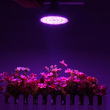 E27 30W Full Spectrum LED Grow Light for Flower Seeds, Greenhouse, AC85-265V