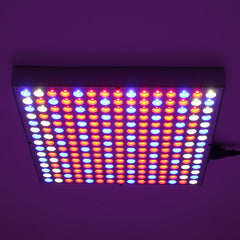 1200W LED Spectrum Grow Light for Hydroponic Indoor Plants