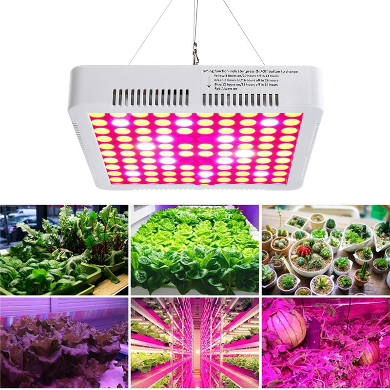 300W Full Spectrum LED Grow Light for Hydroponics, Veg, Flower, and Medical Plants