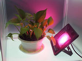 50W Full Spectrum LED Plant Grow Light, Waterproof & Ultra Thin, AC170-300V for Indoor/Outdoor Use