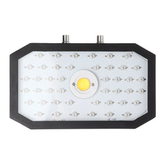 1000W Full Spectrum LED Plant Growth Light, 85-265V Adjustable for Indoor Plants and Vegetables