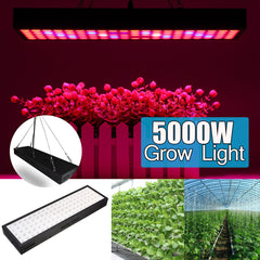 5000W Full Spectrum LED Grow Light Strip for Hydroponic Veg and Flower Plants