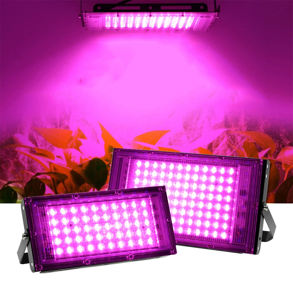 220V Full Spectrum LED Grow Light for Plants, Flowers, Seedlings - Phytolamp Floodlight