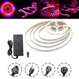 DC12V 5M Red:Blue 4:1 SMD5050 Full Spectrum LED Grow Light Strip + Power Supply, Non-waterproof