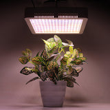 240 LEDs Full Spectrum Plant Grow Light for Indoor Greenhouse Garden - Veg & Bloom Lamp