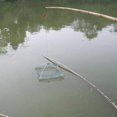 Foldable Mesh Fish Net Trap for Bait, Crab, Shrimp - Practical Fishing Gadget