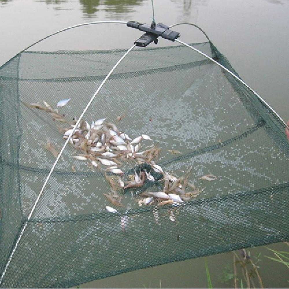 Foldable Mesh Fish Net Trap for Bait, Crab, Shrimp - Practical Fishing Gadget