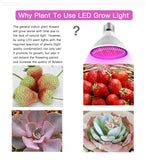 Full Spectrum LED Grow Light E27 Phytolamp for Plants, Seedlings, Flowers, and Grow Tents