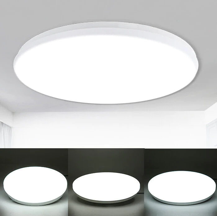 220V Voice Control LED Ceiling Light, 12/18/24W Ultra Thin Flush Mount, Round for Kitchen