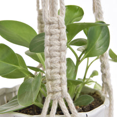 Hand-Knitted Wall Hanging Planter Basket - Natural Cordage Plant Holder for Flower Pots