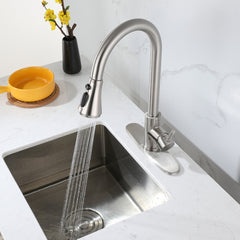 Brushed Nickel Kitchen Faucet with Pull Down Sprayer, 3 Water Effects, High Arc, Stainless Steel, Single Handle