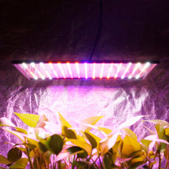 1200W LED Grow Light Bulb for Indoor Hydroponic Plants, Flowers, and Vegetables